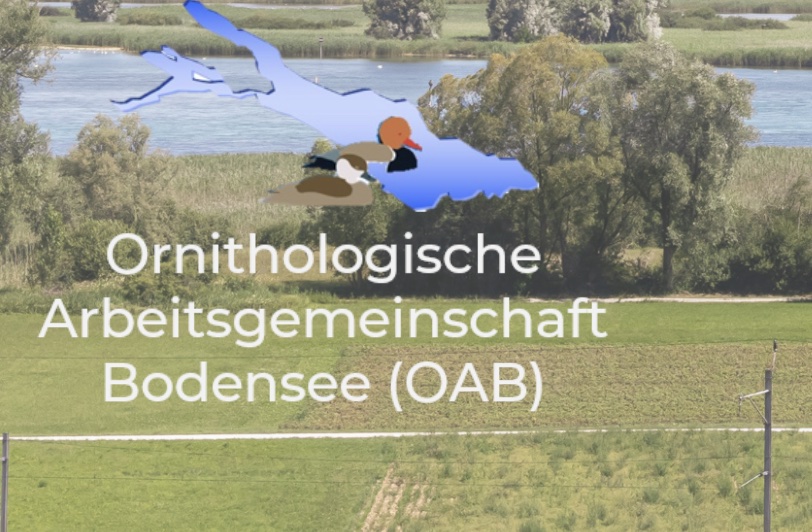 OAB  Ornithologische Arbeitsgemeinschaft Bodensee